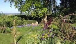 Putley Open Gardens June 2024