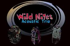 Brewfish Bar (Wild Nites trio)