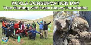 KOALA CONSERVATION DAY: Tree Planting