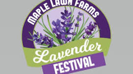 Lavender Festival at Maple Lawn Farms