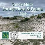 Sandy Neck Spring Flora & Fauna Hike - W. BARNSTABLE