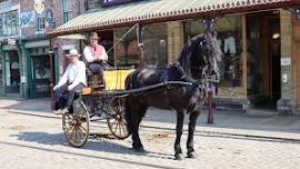 Horses in Harness at Beamish, The Living Museum of The North