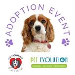  Adoption Event 