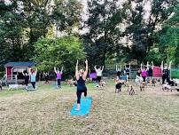 Goat Yoga at the North Barn