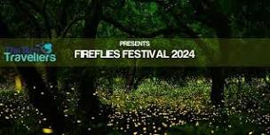 Fireflies Festival near Mumbai - Ambivali