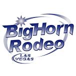 BigHorn Rodeo 2024