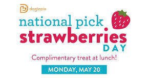 National Pick Strawberries Day