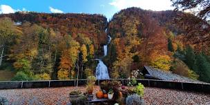 Herbstball im Grandhotel