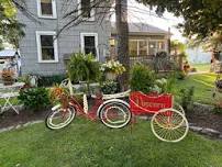 Bikes in Bloom