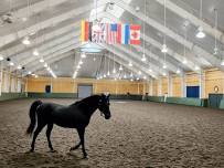 Pineland Farms – Afternoon At The Equestrian Center