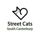 Street Cats South Canterbury Kitten Adoption Day