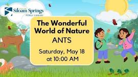 The Wonderful World of Nature: Ants