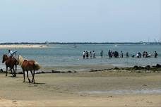 Shackleford Banks Adventure Homeschool & Family Field Trip-September 29, 11:15am-2:15pm