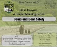 Bears and Bear Safety