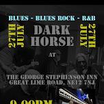 Dark Horse at The George Stephenson In