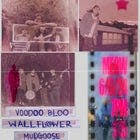 Wallflower, Voodoo Bloo & Mudgoose