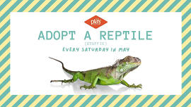 Adopt a Reptile