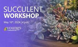 Succulent Workshop (Evening) May 16, 2024 | Build Your Own Succulent Bowl