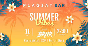 Summer Vibes Med Dj BRNR