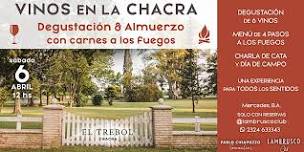 Vinos en la Chacra