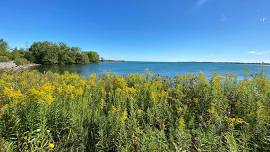 Morning Hike at Port Weller Waterfront Trail