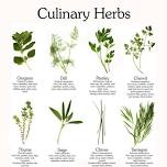 Culinary Herb Class