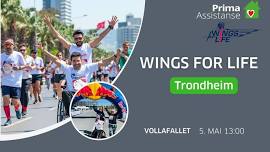 Wings for Life World Run 2024 - TRONDHEIM