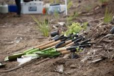 Greening Taupō Love Taupō Trail Festival Community Planting