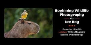 Wildlife Photography Excursion with Lee Hoy,