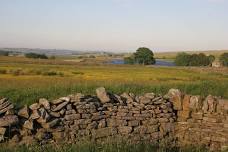 A day at Hannah’s meadows