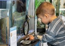 Open Hours at Brooklyn Bridge Park Environmental Education Center