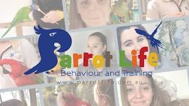 Parrot Training Academy 101 - Brisbane