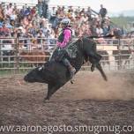 Summer Series Rodeo