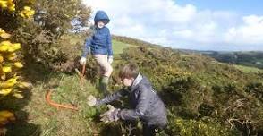 Family volunteering - Bash and burn at Morte Point, Woolacombe