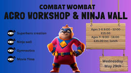 Starbrite Studios - Combat Wombat - Acro and Ninja Wall Workshop