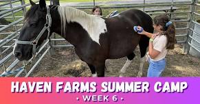 Haven Farms Summer Camp - week 6