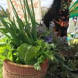 Sustainable Malmsbury July Produce Swap and Recycling Station — Macedon Ranges Sustainability Group