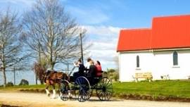 Hokonui Pioneer Village & Museum