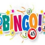 Fun Fridays Charity Bingo