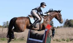 2024 Tamworth International Eventing CCI