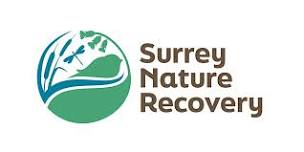 Developing a nature recovery strategy for Surrey