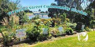 Wi Neera Street Community Garden Working Bee