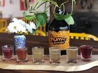 Humm Kombucha Taproom Tasting