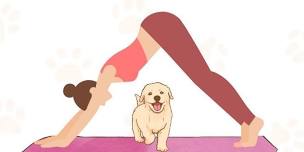 Puppy Yoga!