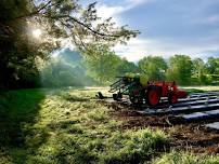 Open Farm Day