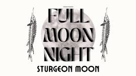 Full Moon Night: Sturgeon Moon