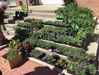 Mother's Day Plant Sale