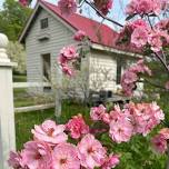 Opening Weekend at Straw House Herbs