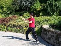 Hybrid: Qi Gong with Jian-Yang Rong