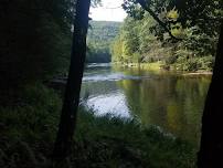 Neversink Gorge